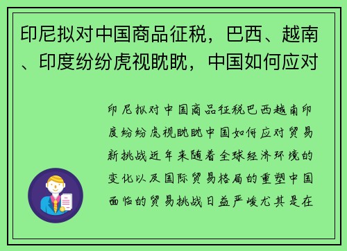 印尼拟对中国商品征税，巴西、越南、印度纷纷虎视眈眈，中国如何应对贸易新挑战？